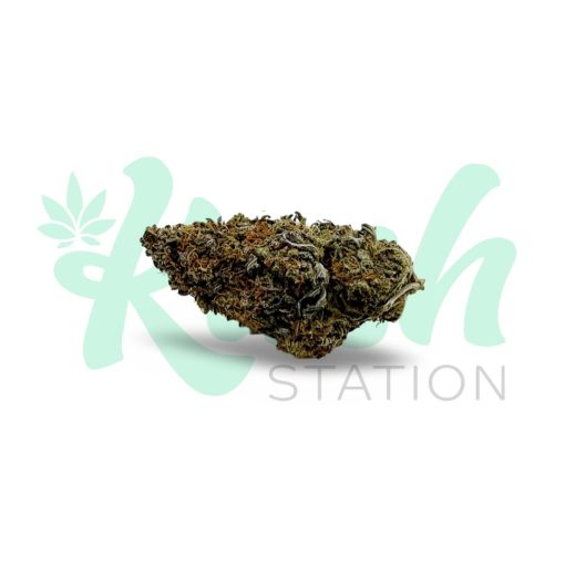 Blue Dream | Hybrid | Kush Station | Buy Weed Online In Canada