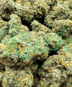Congo Bongo | Sativa | Kush Station | Buy Weed Online In Canada