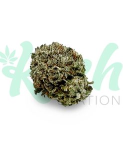 Green Crack | Hybrid | Kush Station | Buy Weed Online In Canada
