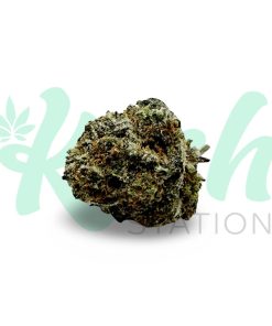 Northern Lights | Indica | Kush Station | Buy Weed Online In Canada