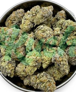 Tropic Thunder | Sativa | Kush Station | Buy Weed Online In Canada