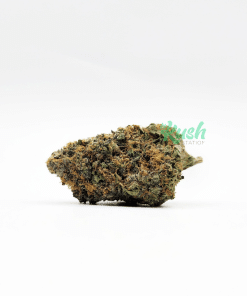 Truffle Butter | Indica | Kush Station | Buy Weed Online In Canada