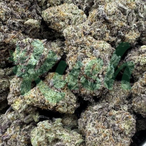 Gouda Berry | Hybrid | Kush Station | Buy Weed Online In Canada