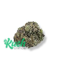 Diesel Berry | HYBRID | Kush Station | Buy Weed Online In Canada