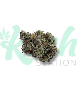 Black Cherry Soda | Hybrid | Kush Station | Buy Weed Online In Canada