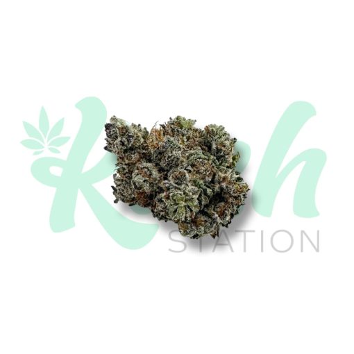 Black Cherry Soda | Hybrid | Kush Station | Buy Weed Online In Canada