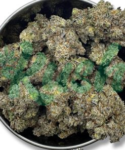 Black Cherry Soda | Hybrid | Kush Station | Buy Weed Online In Canada