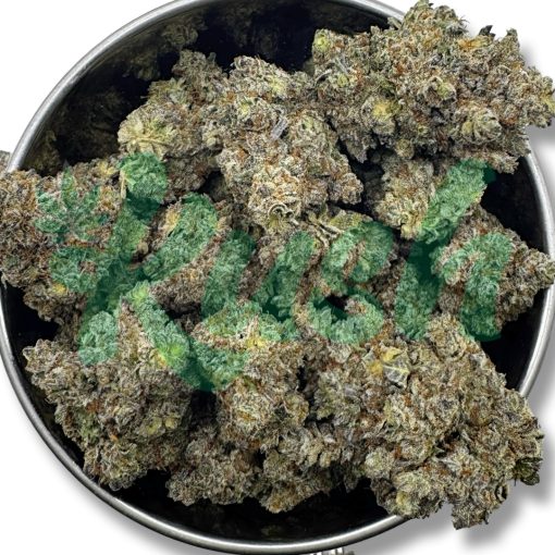 Black Cherry Soda | Hybrid | Kush Station | Buy Weed Online In Canada