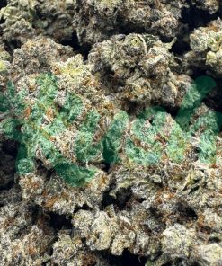 Black Cherry Soda | Hybrid | Kush Station | Buy Weed Online In Canada