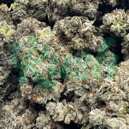 Black Cherry Soda | Hybrid | Kush Station | Buy Weed Online In Canada