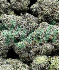 Dosi De Leche | Indica | Kush Station | Buy Weed Online In Canada