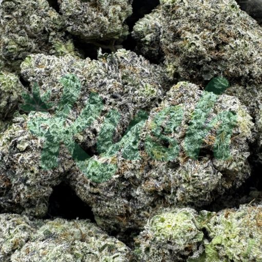 Dosi De Leche | Indica | Kush Station | Buy Weed Online In Canada