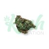Galatic Punch | Hybrid | Kush Station | Buy Weed Online In Canada