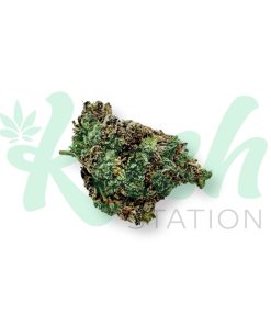 Galatic Punch | Hybrid | Kush Station | Buy Weed Online In Canada