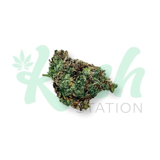 Galatic Punch | Hybrid | Kush Station | Buy Weed Online In Canada