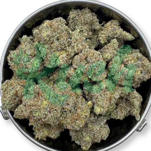 Galatic Punch | Hybrid | Kush Station | Buy Weed Online In Canada