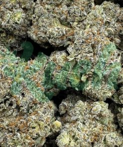 Galatic Punch | Hybrid | Kush Station | Buy Weed Online In Canada