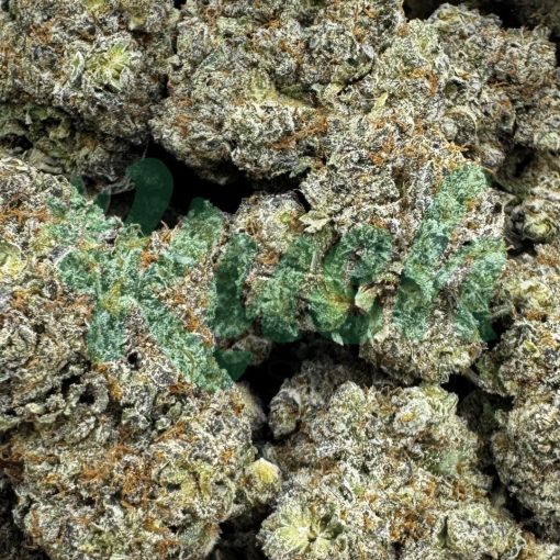 Galatic Punch | Hybrid | Kush Station | Buy Weed Online In Canada