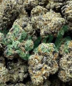 Ice Bomb | Indica | Kush Station | Buy Weed Online In Canada