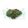 Lime Green Skunk | Sativa | Kush Station | Buy Weed Online In Canada
