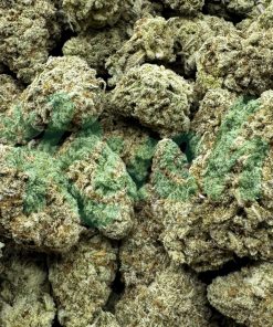 Lime Green Skunk | Sativa | Kush Station | Buy Weed Online In Canada