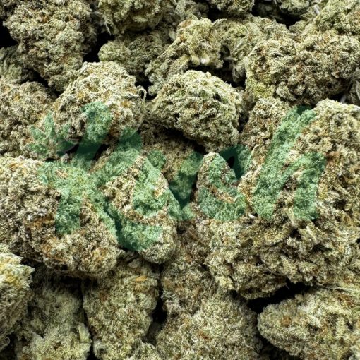 Lime Green Skunk | Sativa | Kush Station | Buy Weed Online In Canada