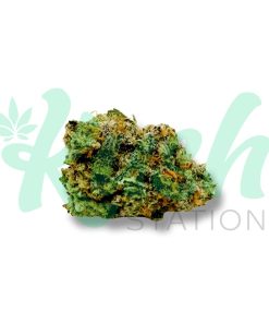 Orange Cookies | Hybrid | Kush Station | Buy Weed Online In Canada