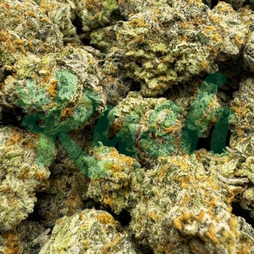 Orange Cookies | Hybrid | Kush Station | Buy Weed Online In Canada