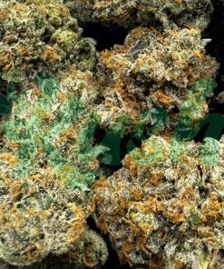 Rockstar | Indica | Kush Station | Buy Weed Online In Canada