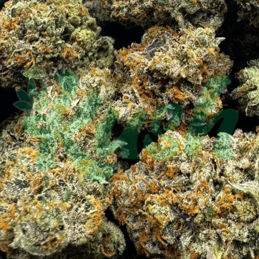 Rockstar | Indica | Kush Station | Buy Weed Online In Canada