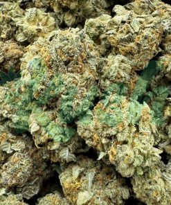 Zkittles | Indica | Kush Station | Buy Weed Online In Canada