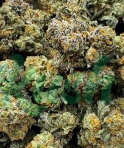 Gingerbread Cookies | Hybrid | Kush Station | Buy Weed Online In Canada