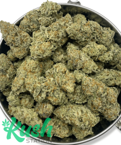 Girl Scout Cookies | Hybrid | Kush Station | Buy Weed Online In Canada