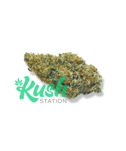 Girl Scout Cookies | Hybrid | Kush Station | Buy Weed Online In Canada
