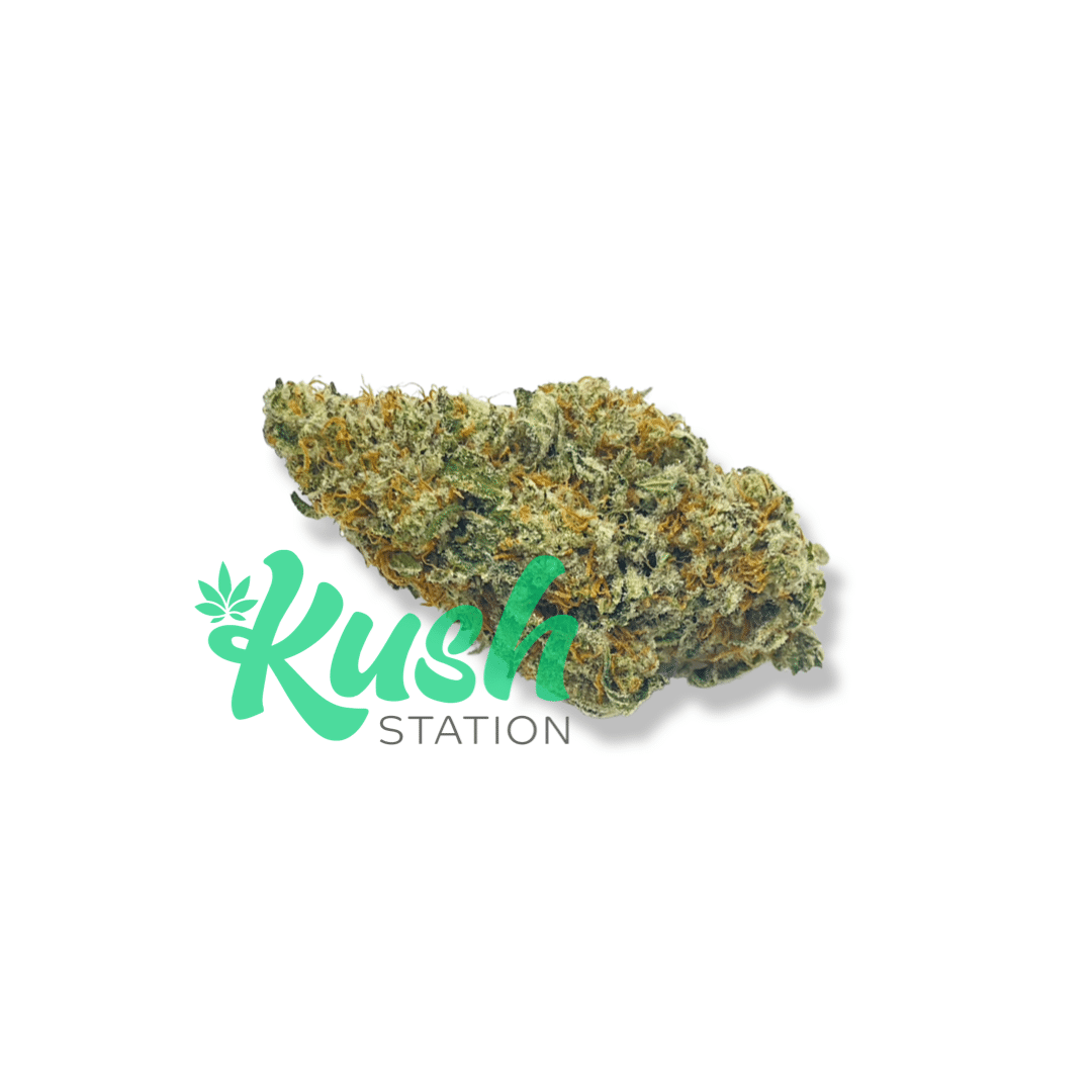 Girl Scout Cookies | Hybrid | Kush Station | Buy Weed Online In Canada