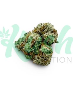 Grease Monkey | Hybrid | Kush Station | Buy Weed Online In Canada