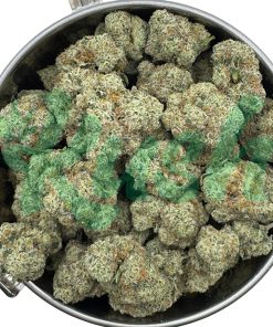 Grease Monkey | Hybrid | Kush Station | Buy Weed Online In Canada