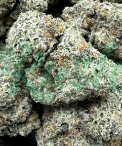 Grease Monkey | Hybrid | Kush Station | Buy Weed Online In Canada