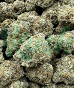 Ice Wine | Hybrid | Kush Station | Buy Weed Online In Canada