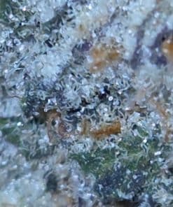 Ice Wine 10x zoom | Hybrid | Kush Station | Buy Weed Online In Canada