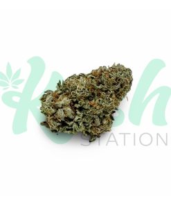 Nuken | Hybrid | Kush Station | Buy Weed Online In Canada