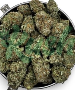 Nuken | Hybrid | Kush Station | Buy Weed Online In Canada