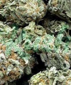 Nuken | Hybrid | Kush Station | Buy Weed Online In Canada
