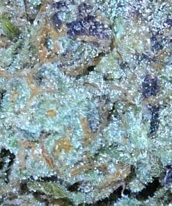 Oreos 10x zoom | Indica | Kush Station | Buy Weed Online In Canada