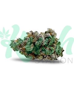 Purple Pineapple Express | Indica | Kush Station | Buy Weed Online In Canada