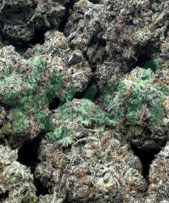 Blackberry | Hybrid | Kush Station | Buy Weed Online In Canada