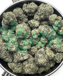 Alternative view of Cali Bubba