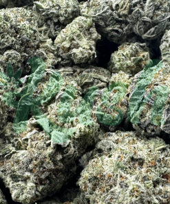 Cali Bubba | Sativa | Kush Station | Buy Weed Online In Canada