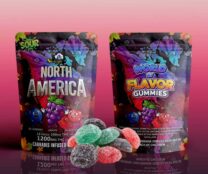 Buy Sky High Edibles - World of Flavor Gummies - North America (1200mg THC) at Kush Station Online Shop