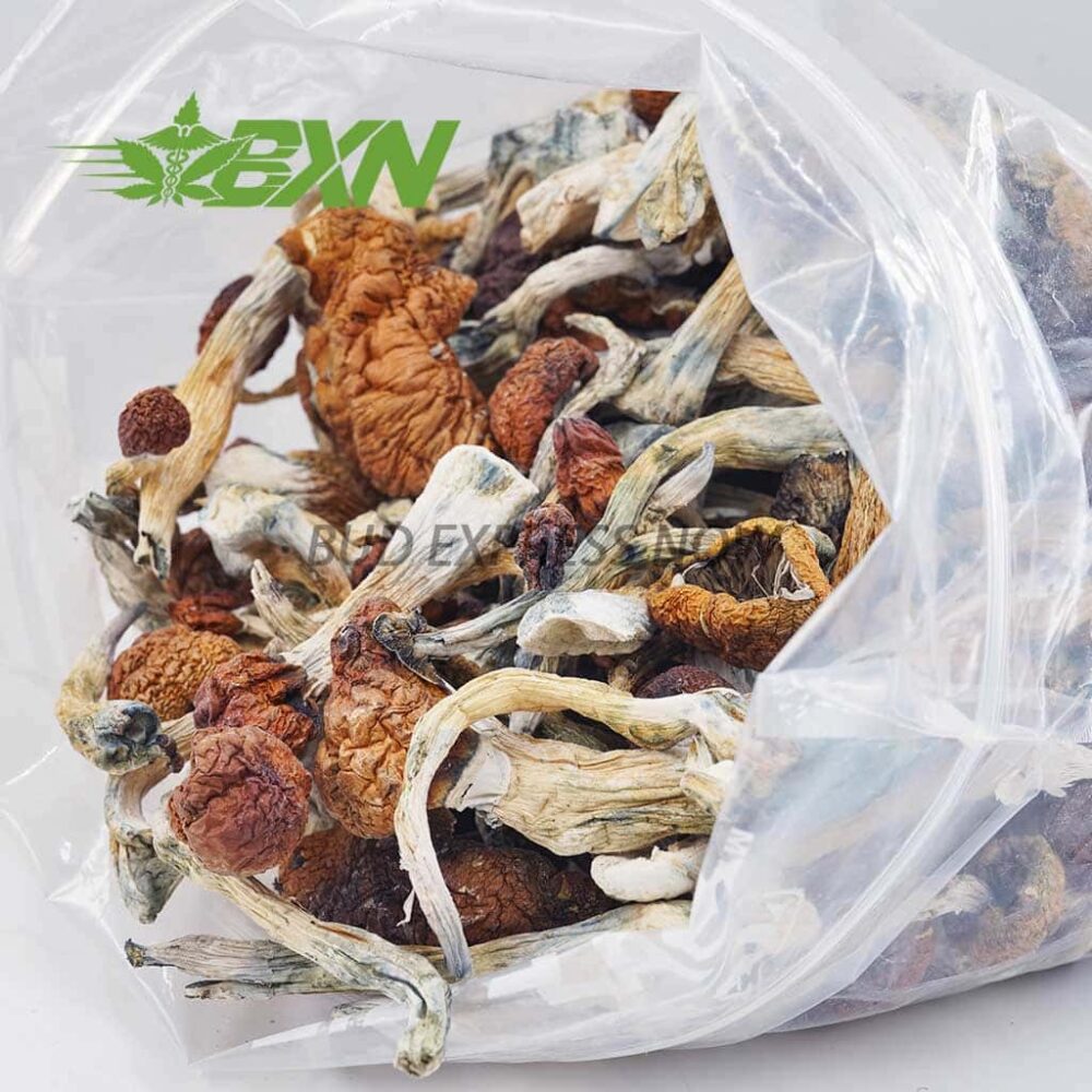 Buy cbd Mushroom Cambodian